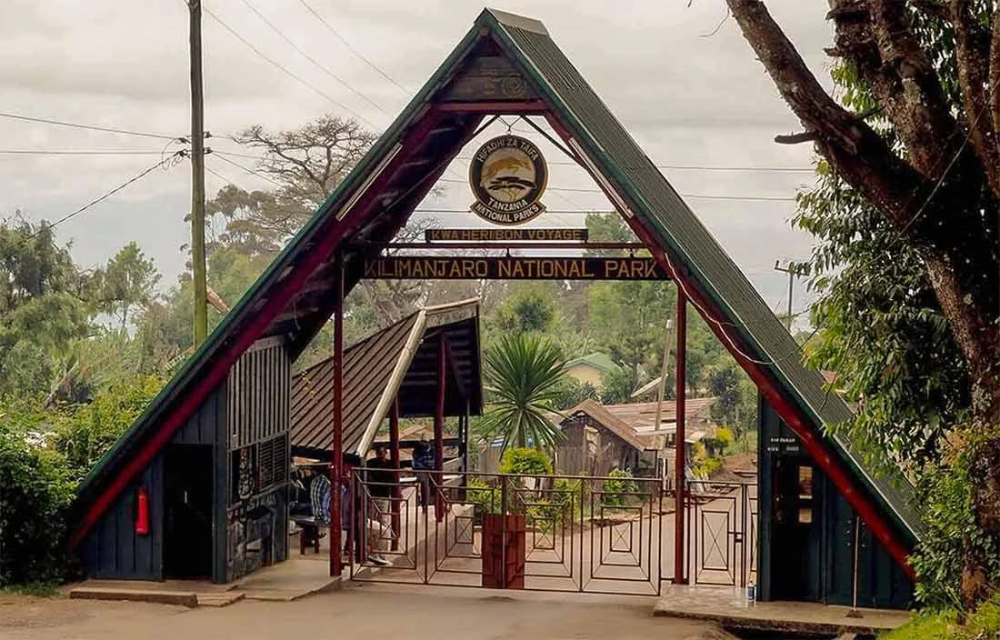 8-Day Kilimanjaro Climb, Rongai Route