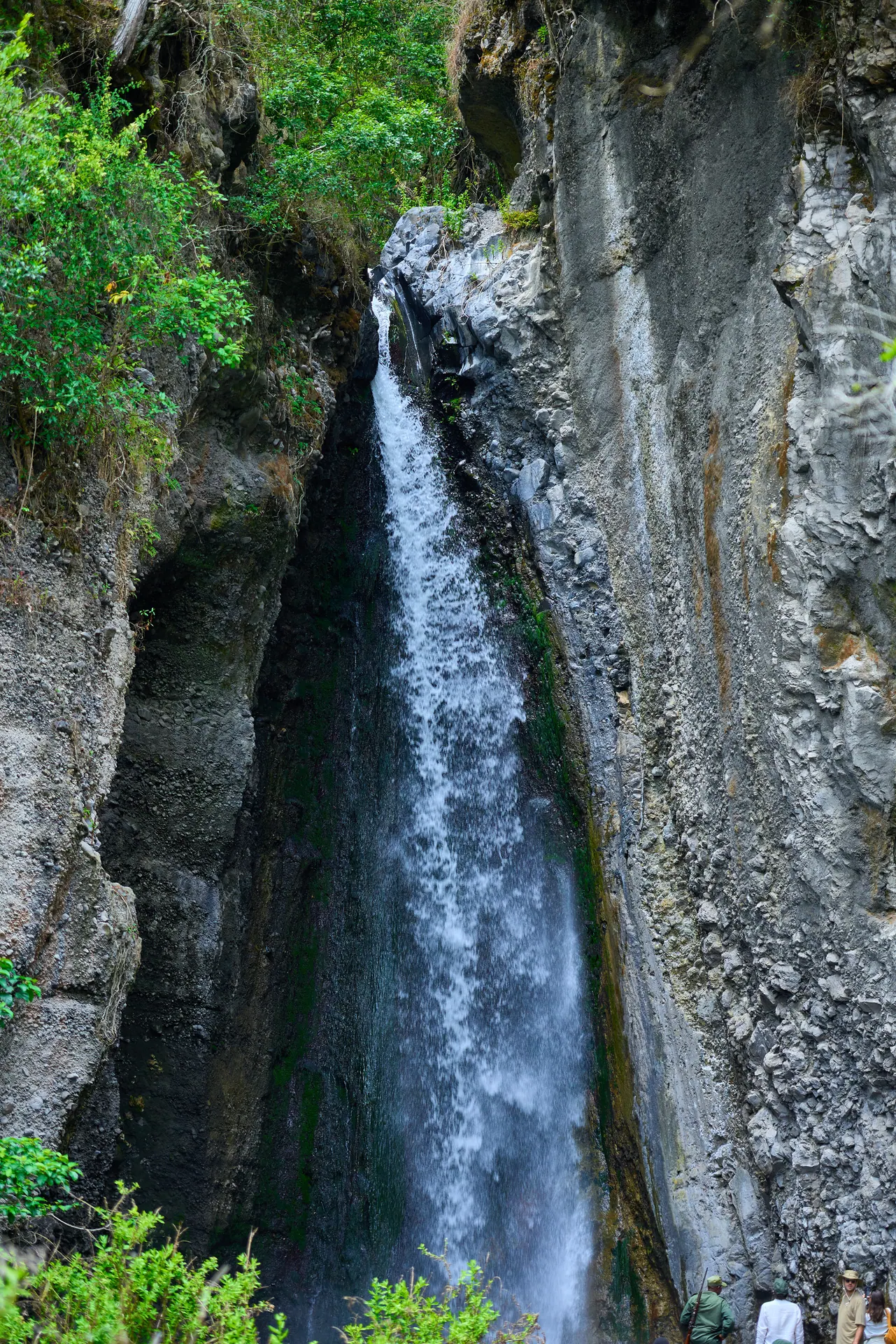 2-Day Udzungwa Mountains Sanje Waterfalls Hike