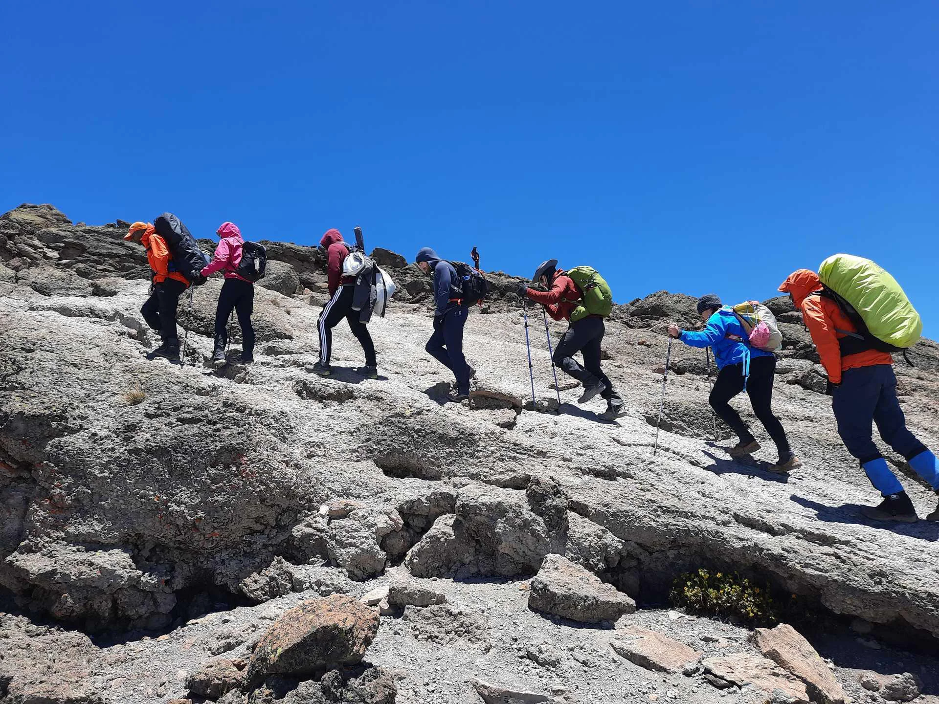 10-Day Kilimanjaro Climb, Northern Circuit