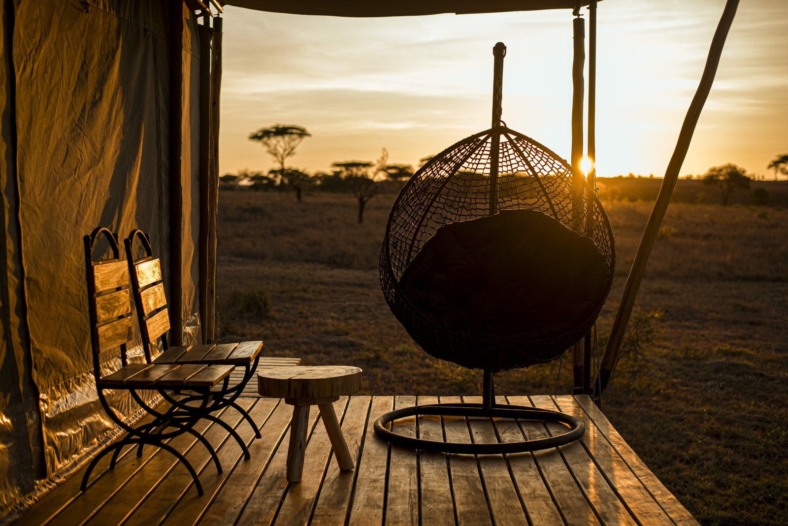 The Best Time to Visit Tanzania for a Safari
