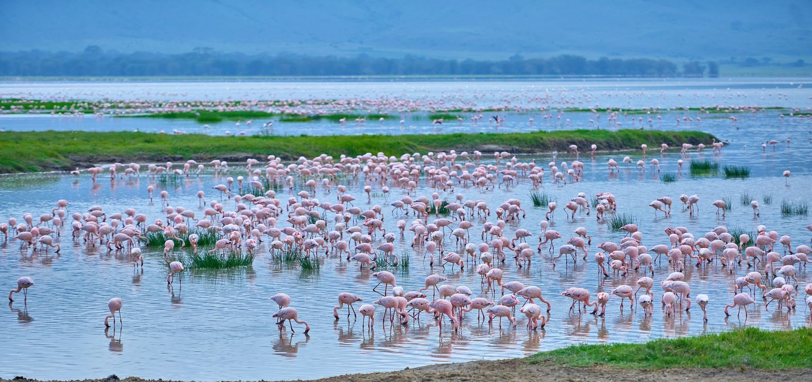 Lake Manyara National Park